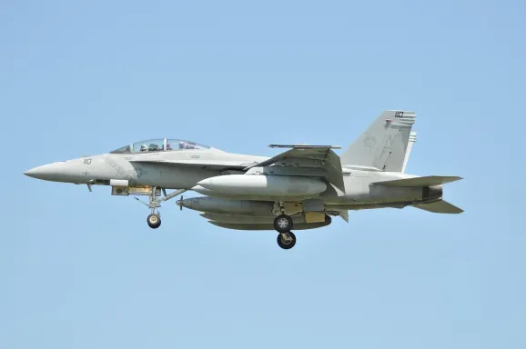 كازينو كريبتو وايلد الدعم